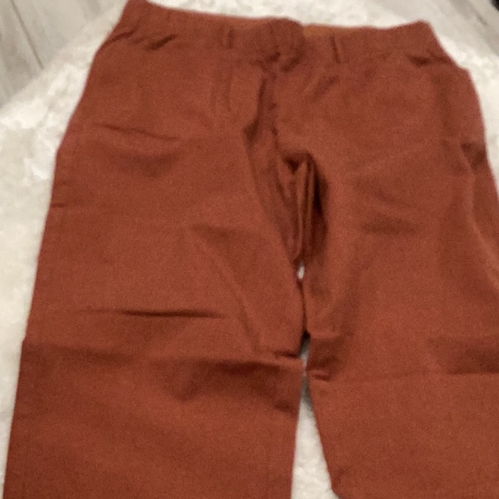 Rust Orange Pants - image 1